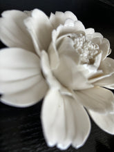 Load image into Gallery viewer, Peony Wall Flowers