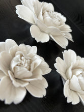 Load image into Gallery viewer, Peony Wall Flowers