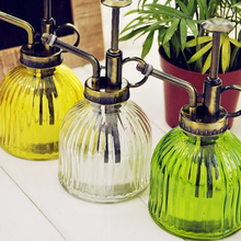 Load image into Gallery viewer, Botanical Style Glass Mister