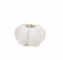 Load image into Gallery viewer, Pod Vase - White