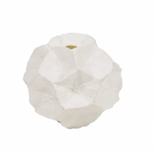 Load image into Gallery viewer, Star Studded Seed Pod Vase