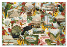 Load image into Gallery viewer, Wolfkamp & Stone - Birds & Postcards 1000 Piece