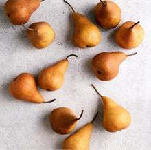 Load image into Gallery viewer, Raine and Humble Pear Single Oven Glove