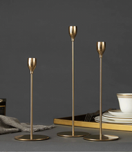 Load image into Gallery viewer, Tulip Shape Candle Sticks - Set of 3