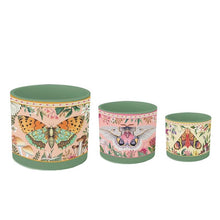 Load image into Gallery viewer, La La Land - Field Trip Butterfly Planter Large