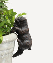 Load image into Gallery viewer, French Hanging Bulldog - Dark Brown
