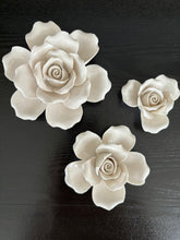 Load image into Gallery viewer, Rose Wall Flowers
