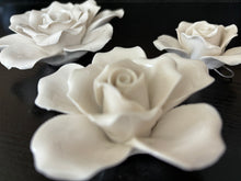 Load image into Gallery viewer, Rose Wall Flowers
