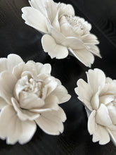 Load image into Gallery viewer, Peony Wall Flowers
