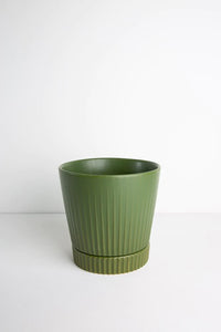 Indie Planter Large