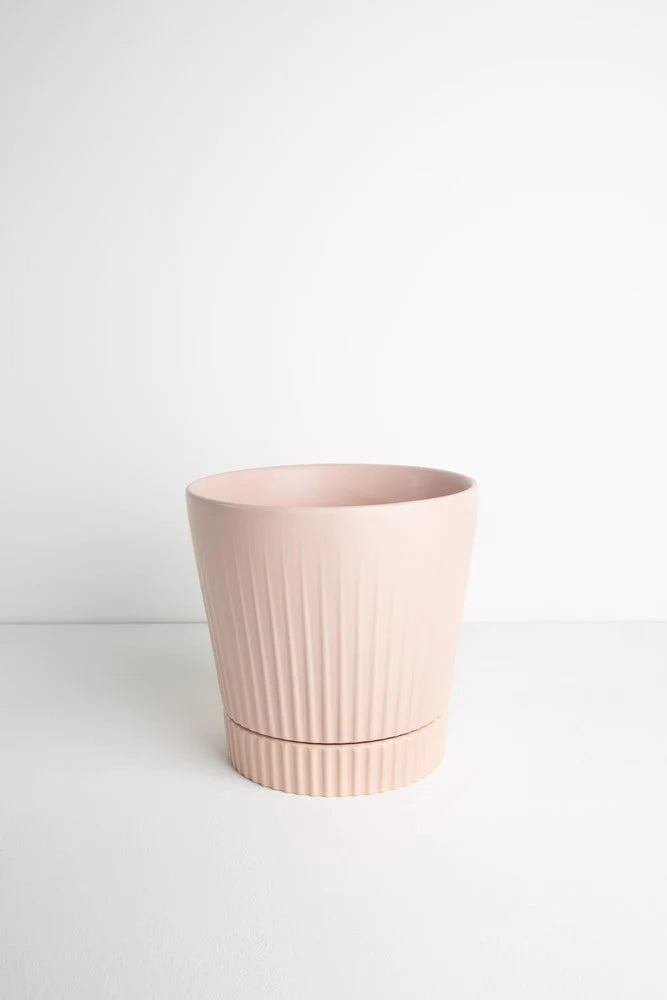 Indie Planter Extra Large