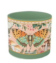 Load image into Gallery viewer, La La Land - Field Trip Butterfly Planter Large
