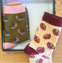 Load image into Gallery viewer, Pohutukawa Boxed Set of Socks by Artist Ali Davies

