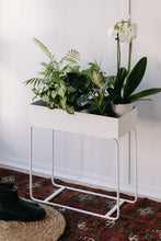 Load image into Gallery viewer, Garcia Tall Metal Planter
